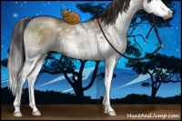 Horse Color:Gray Grullo Pearl Mushroom Sabino Splash Brindle