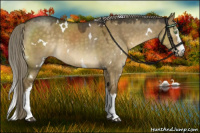 Horse Color:White Spotted Chocolate Palomino Dun 