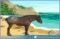 Horse Color:Liver Chestnut
