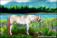 Horse Color:Painted White Spotted Liver Red Dun Onyx Tobiano Rabicano