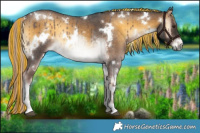 Horse Color:Painted White Spotted Chocolate Palomino Roan Onyx Rabicano 