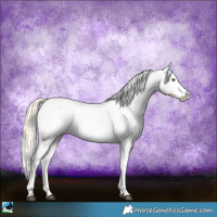 Horse Color:Palomino Near Leopard  and Palomino Near Leopard 