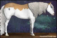 Horse Color:Silver Buckskin Roan Splash 
