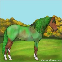 Horse Color:Bay Roan Rabicano
