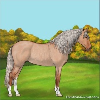 Horse Color:Silver Brown Roan Dun Rabicano 