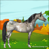 Horse Color:White Spotted Brown Ice Dun Mushroom