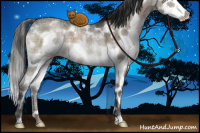 Horse Color:White Spotted Brown Ice Dun Mushroom Sabino Splash Brindle 
