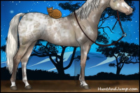 Horse Color:White Spotted Liver Red Dun Ice Mushroom Rabicano Brindle 