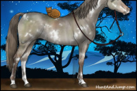 Horse Color:White Spotted Liver Red Dun Mushroom Rabicano Brindle 