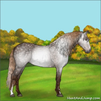 Horse Color:Gray Chestnut Ice Sabino 