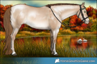 Horse Color:Liver Red Dun Pearl Sabino 