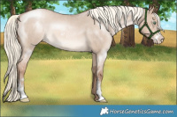 Horse Color:Liver Red Dun Roan Pearl Mushroom Sabino