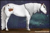 Horse Color:Silver Bay Splash Tobiano 