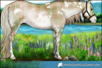 Horse Color:Watercolor Plaid  White Spotted Liver Red Onyx Pearl Rabicano 