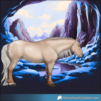 Horse Color:Silver Bay Pearl Dun