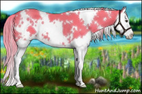 Horse Color:Watercolor White Spotted Liver Chestnut Splash 