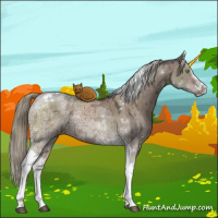 Horse Color:Liver Red Dun Ice Mushroom Sabino Tobiano Rabicano Brindle 