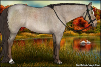 Horse Color:Liver Red Dun Roan Sabino