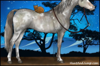 Horse Color:White Spotted Liver Red Dun Ice Mushroom Sabino Rabicano