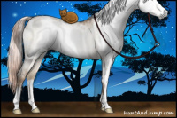 Horse Color:Gray White Spotted Liver Red Dun Ice Pearl Sabino Rabicano Brindle 