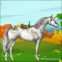 Horse Color:White Spotted Silver Brown Onyx Brindle 