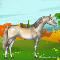 Horse Color:White Spotted Silver Buckskin Onyx Sabino Brindle
