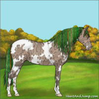Horse Color:Painted White Spotted Amber Champagne Ice