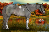 Horse Color:Liver Red Ice Roan Mushroom Tobiano Rabicano