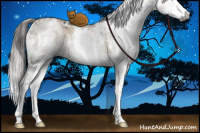Horse Color:Gray White Spotted Brown Ice Pearl Dun Sabino Splash 