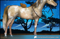 Horse Color:White Spotted Liver Red Dun Ice Pearl Brindle