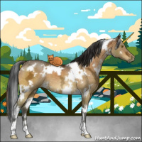 Horse Color:White Spotted Brown Ice Dun