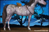 Horse Color:White Spotted Liver Red Dun Ice 