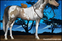 Horse Color:White Spotted Liver Red Dun Ice Tobiano Brindle