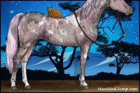 Horse Color:White Spotted Liver Red Dun Ice Mushroom Sabino Brindle