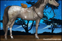 Horse Color:White Spotted Liver Red Dun Ice