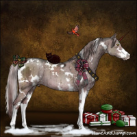 Horse Color:White Spotted Liver Red Dun Ice Mushroom Sabino Brindle 
