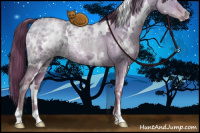 Horse Color:White Spotted Liver Red Dun Ice Pearl