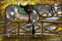 Horse Color:White Spotted Liver Red Roan Rabicano 