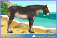 Horse Color:Liver Chestnut Tobiano Rabicano 