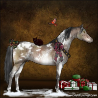 Horse Color:White Spotted Brown Dun Mushroom Brindle