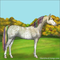 Horse Color:Painted Plaid  White Spotted Chocolate Palomino Ice Dun Sabino 