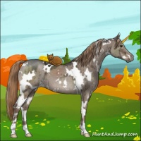 Horse Color:White Spotted Liver Red Dun Ice Brindle 
