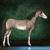 Horse Color:White Spotted Liver Red Dun Roan Brindle 