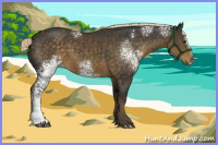 Horse Color:White Spotted Chocolate Palomino Sabino 