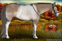 Horse Color:White Spotted Liver Red Dun Roan Brindle 