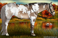 Horse Color:White Spotted Liver Red Dun