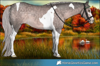 Horse Color:Platinum Chocolate Palomino Sabino Tobiano 