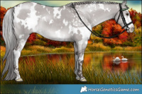 Horse Color:Platinum White Spotted Liver Red Dun Sabino