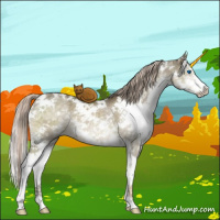 Horse Color:White Spotted Chocolate Palomino Dun Sabino Splash 