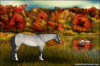 Horse Color:Brown Roan Dun 